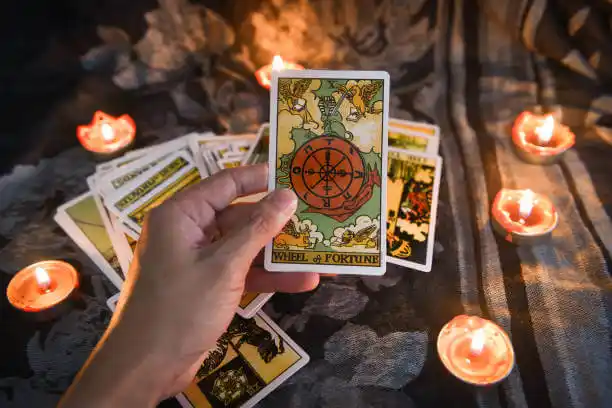 tarot cards Walden